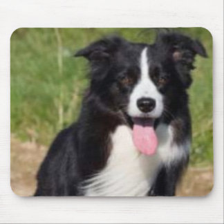Border-Collie Mousepad