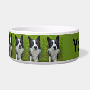 Border Collie Napf