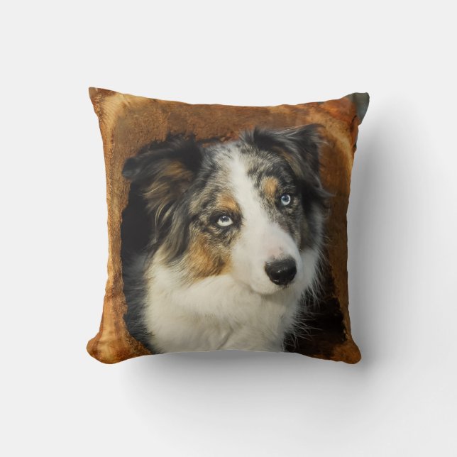 Border Collie niedlicher Hund Kissen (Vorderseite)