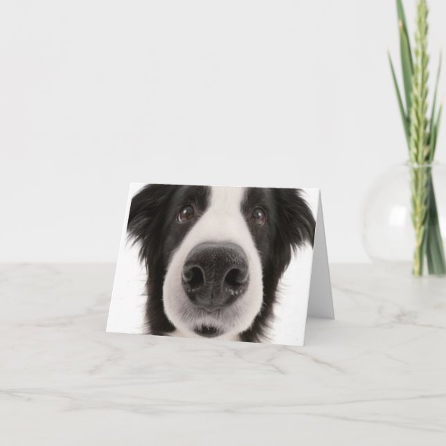 Border-Collie Notecard Karte (Vorderseite)
