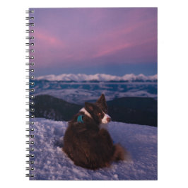 Border Collie on Snowy Mountain Peak at Sunset Notizblock