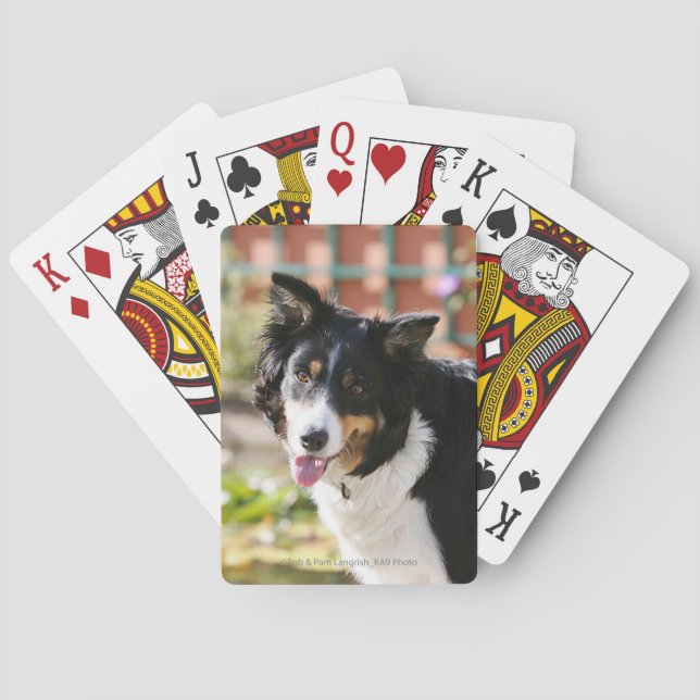 Border Collie Panting 1 Spielkarten (Rückseite)