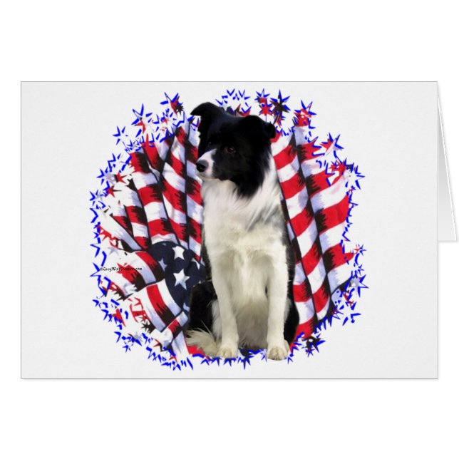 Border Collie Patriot (Vorderseite (Horizontal))