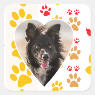 Border Collie Paw Print Liebe Herz Quadratischer Aufkleber
