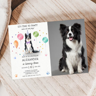 Border Collie Pawty Doppy Welpe Birthday Blue Foto Einladung