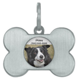 Border Collie Pet Name Tag Tiermarke