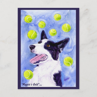 Border Collie Postcard - "Magpie's Gold" Postkarte
