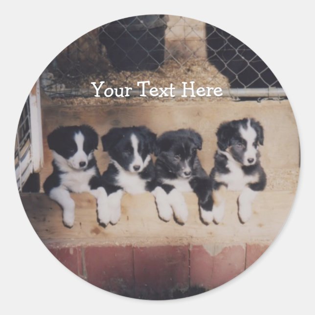 Border Collie Puppies Dockaufkleber Runder Aufkleber (Vorderseite)
