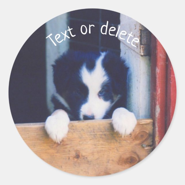 Border Collie Puppy Dog Personalisiert Runder Aufkleber (Vorderseite)