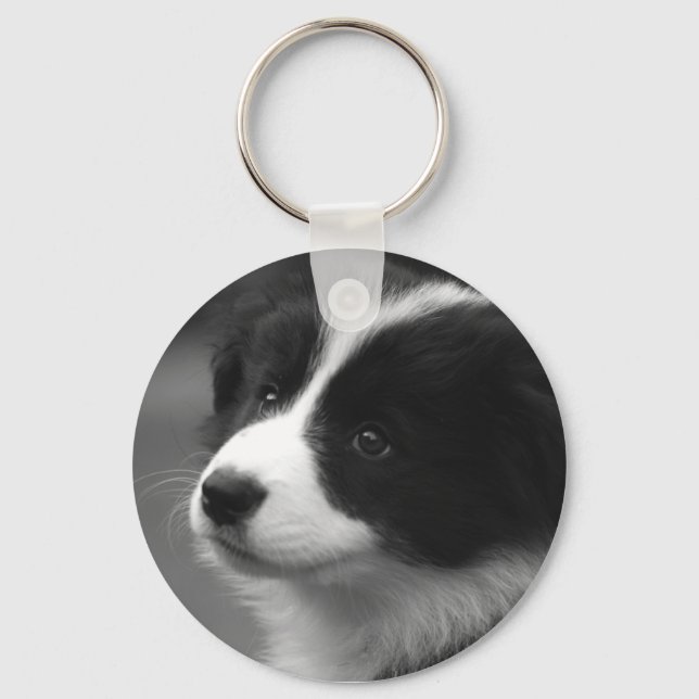Border Collie Puppy Schlüsselanhänger (Vorderseite)