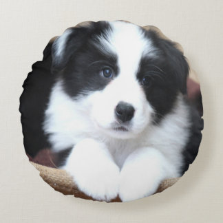 Border Collie Round Pillow Rundes Kissen