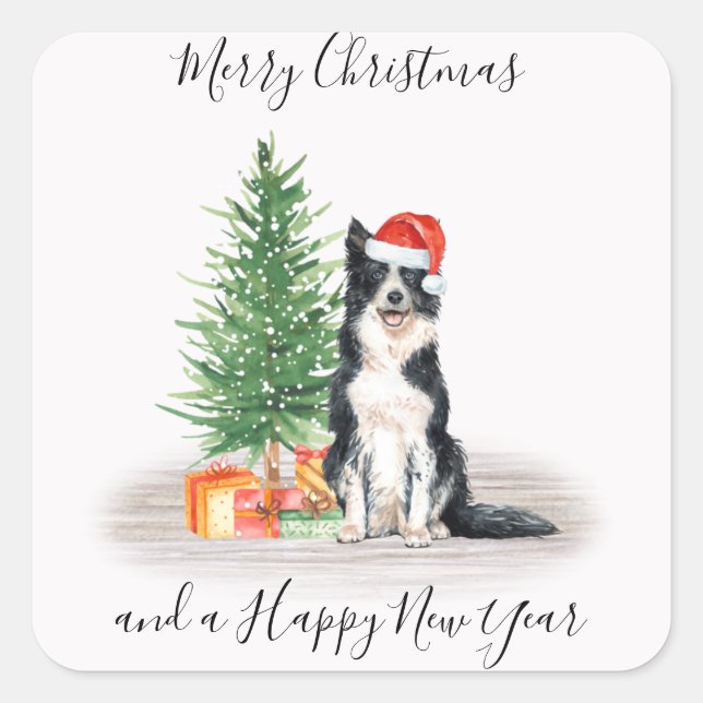 Border Collie Santa Dog Frohe Weihnachten Quadratischer Aufkleber (Vorderseite)