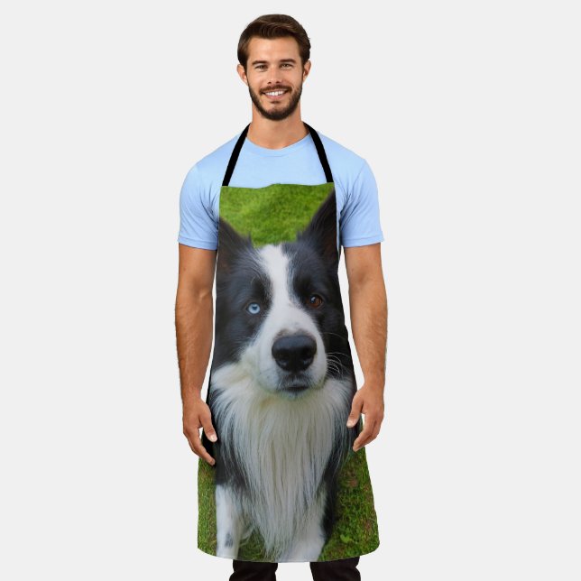Border Collie Schürze (Getragen)