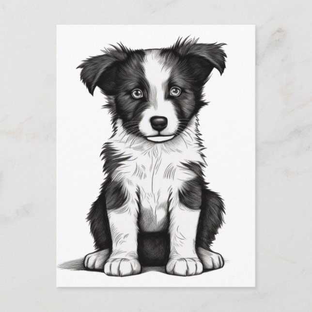 Border Collie Sheepdog Australian Shephard Puppy Postkarte (Vorderseite)