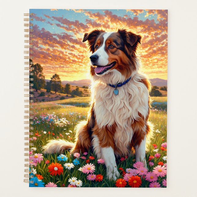 Border Collie Shepherd Dog (Devant)