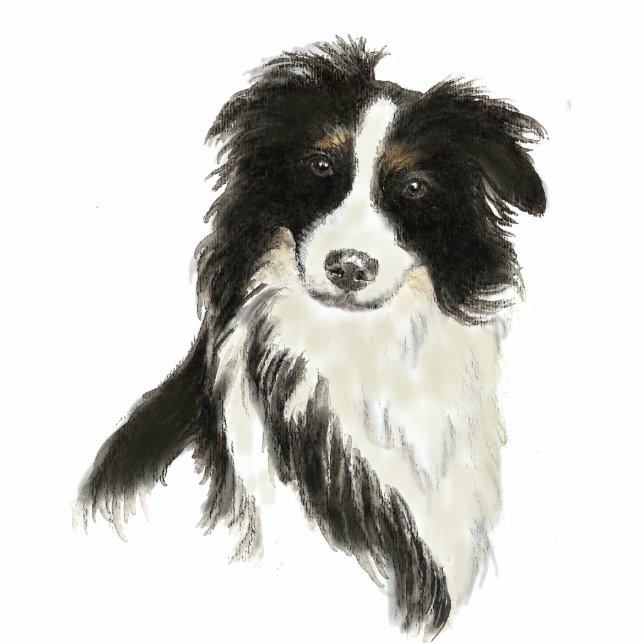 Border Collie Skulptur, Keyring Freistehende Fotoskulptur (Vorne)