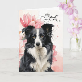 Border Collie Soft Pink Botanical Blooms Get Well Karte