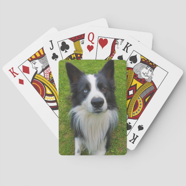 Border Collie Spielkarten (Rückseite)