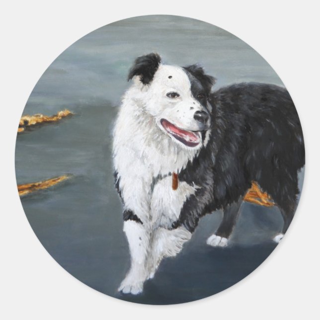 Border Collie Sticker (Vorderseite)