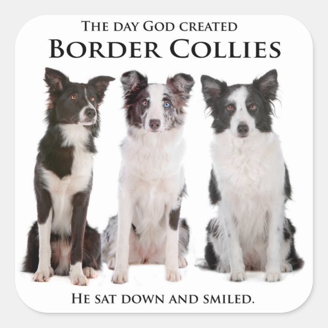 Border Collie Stickers (Vorderseite)
