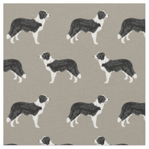 Border Collie Stoff