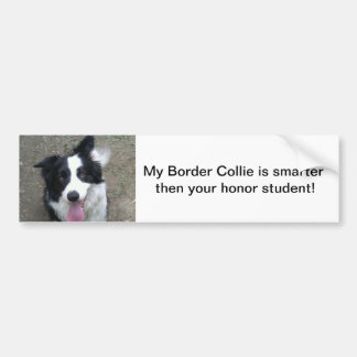 Border-Collie-Stoßdämpfer sticke Autoaufkleber