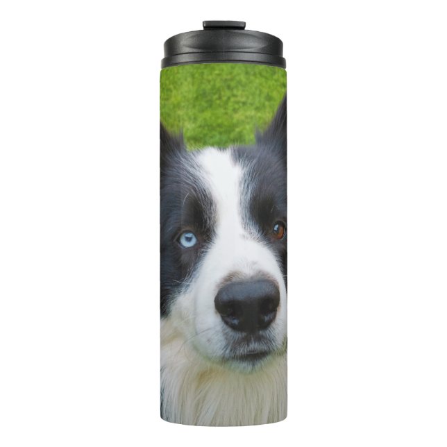Border Collie Thermosbecher (Vorderseite)