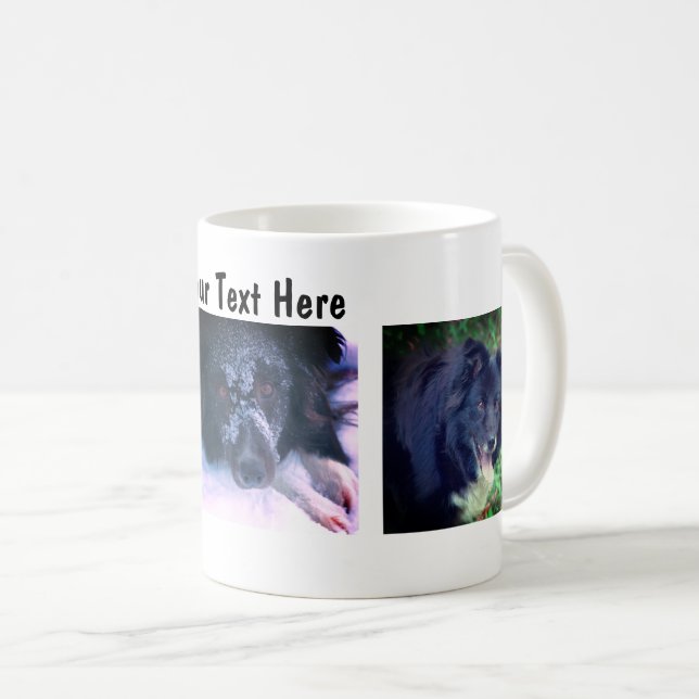 Border Collie Trio Dog Fotografie Kaffeetasse (VorderseiteRechts)