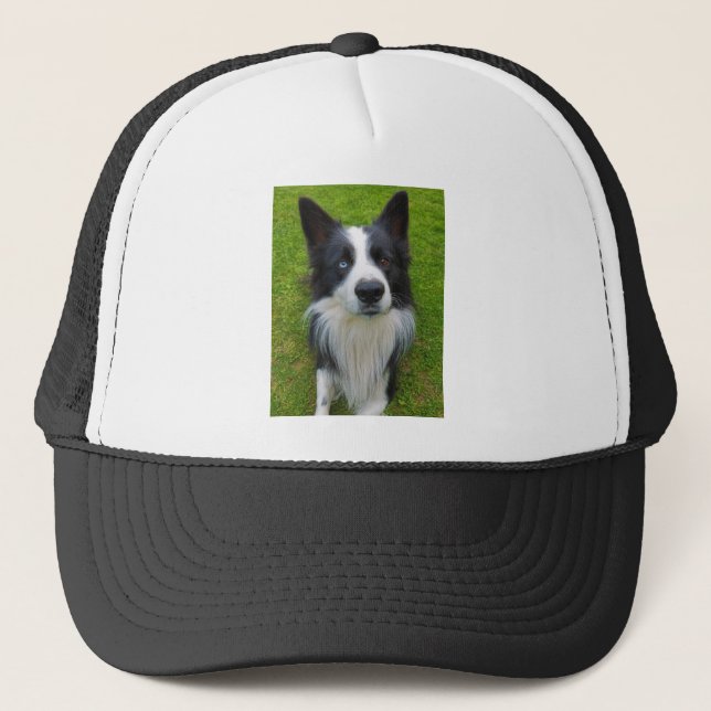 Border Collie Truckerkappe (Vorderseite)