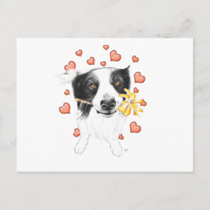 Border Collie und Herz Postkarte