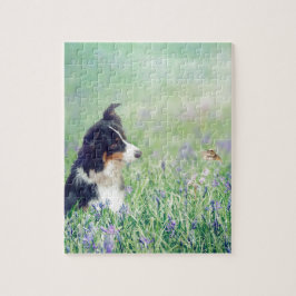 Border Collie und Hummingbird