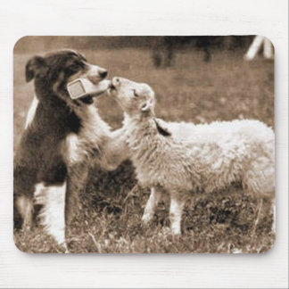 "Border-Collie und Lamm " ~Mousepad Mousepad