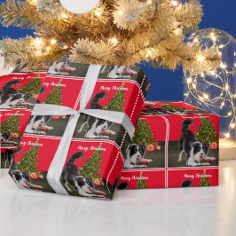Border Collie und Weihnachtsbaum Geschenkpapier
