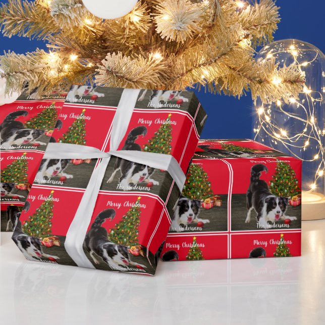 Border Collie und Weihnachtsbaum  Geschenkpapier (Feiertage)