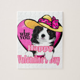 Border Collie Valentinstag