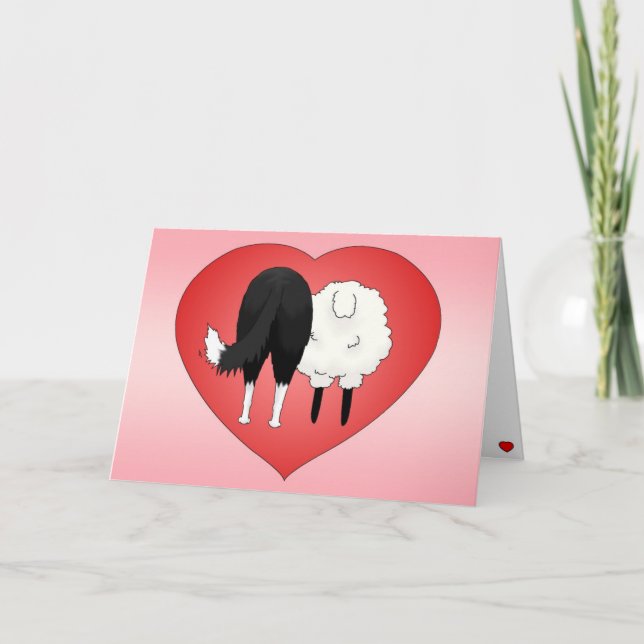Border-Collie-Valentinstag Feiertagskarte (Vorderseite)