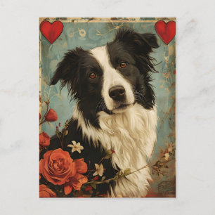 Border Collie Vintage Valentinstag Postkarte