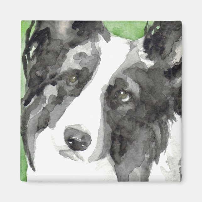 Border Collie Wasserfarben Magnet (Vorne)