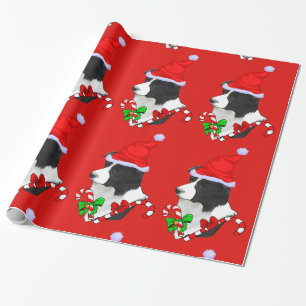 Border-Collie-Weihnachten Geschenkpapier