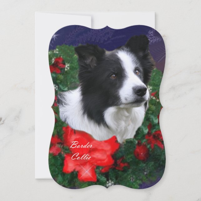 Border Collie Weihnachtsgrüße Feiertagskarte (Vorderseite)
