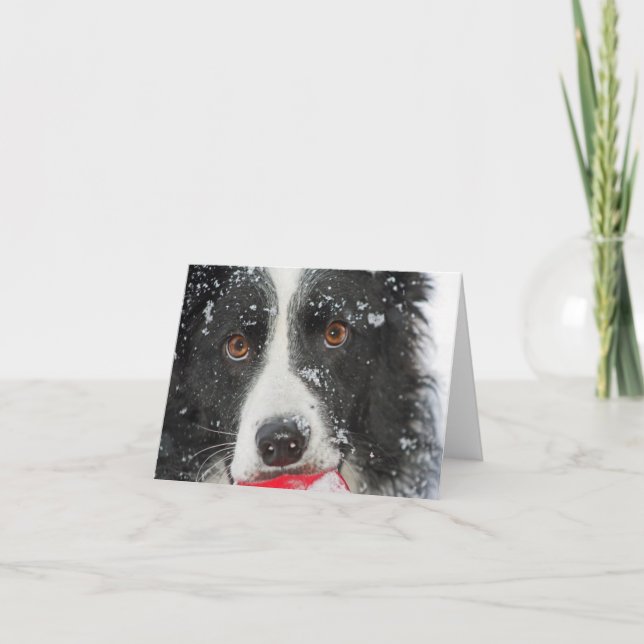 Border-Collie-Weihnachtskarte Feiertagskarte (Vorderseite)
