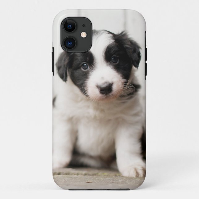 Border-Collie-Welpe Case-Mate iPhone Hülle (Rückseite)