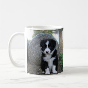 Border Collie Welpe Farm Life, Kaffeetasse