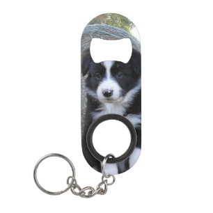 Border Collie Welpe Farm Life, Mini Flaschenöffner