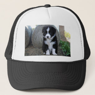 Border Collie Welpe Farm Life, Truckerkappe