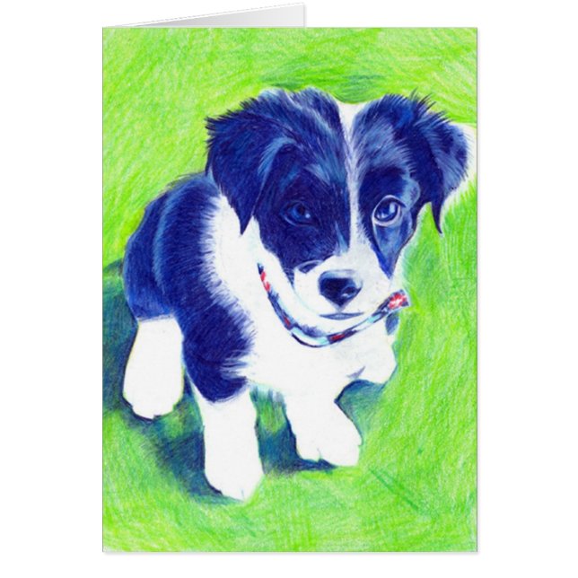 Border-Collie-Welpe in farbigem Bleistift (Vorne)