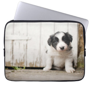 Border-Collie-Welpe Laptopschutzhülle