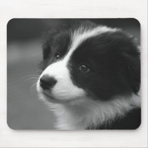 Border Collie Welpe Mousepad