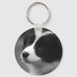 Border Collie Welpe Schlüsselanhänger
