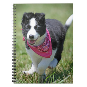Border-Collie-Welpenbetrieb Notizblock